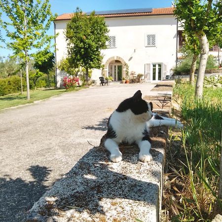 Le Piracante Caiazzo Exterior photo